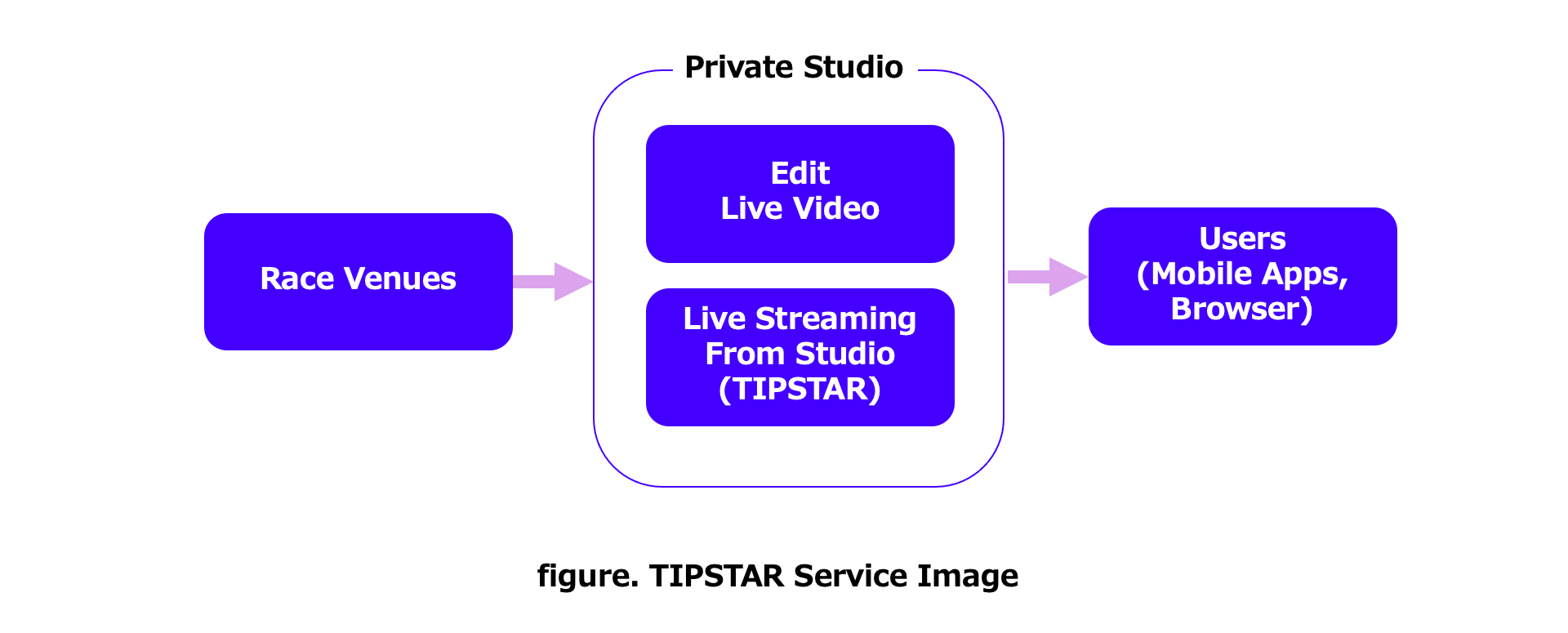 Conceptual image of TIPSTAR’s service